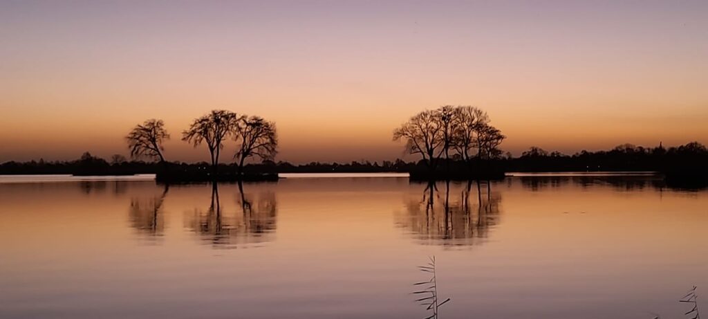 Lees meer over het artikel Unieke foto van de Elfhoevenplas is foto van de maand