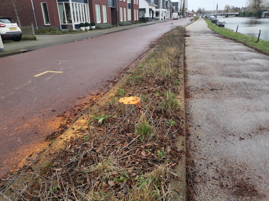 Lees meer over het artikel Veertigtal vitale bomen laten het leven in Reeuwijk-Brug