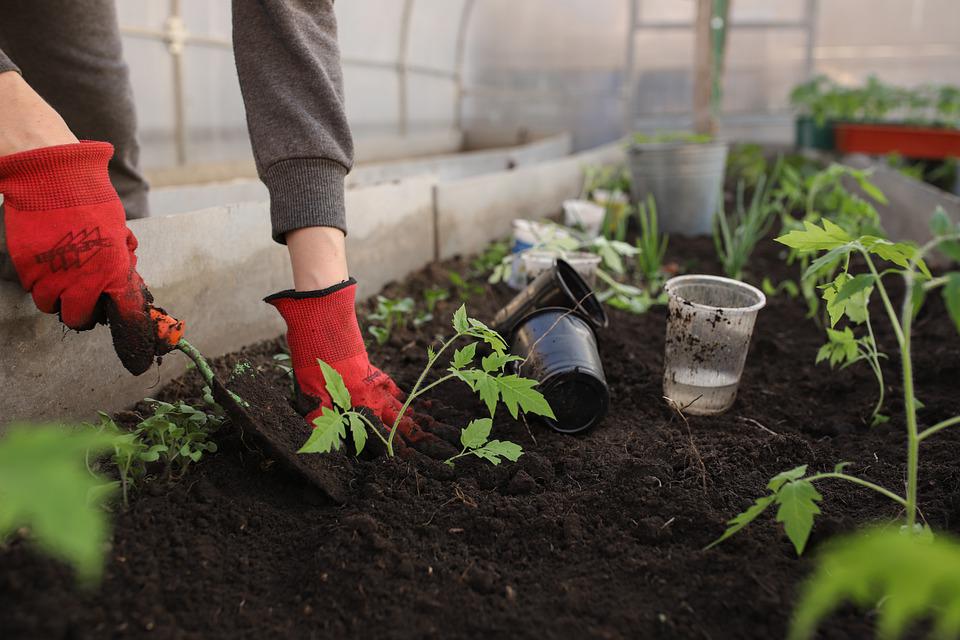 Lees meer over het artikel Het is lekker weer;  tijd om de tuin zomerklaar te maken