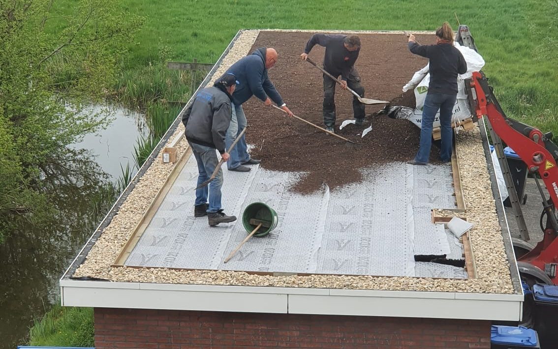 Lees meer over het artikel Groene daken met de buren