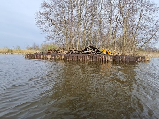 Lees meer over het artikel Elzenstammen: van Raadhuisweg naar Kalverbroek