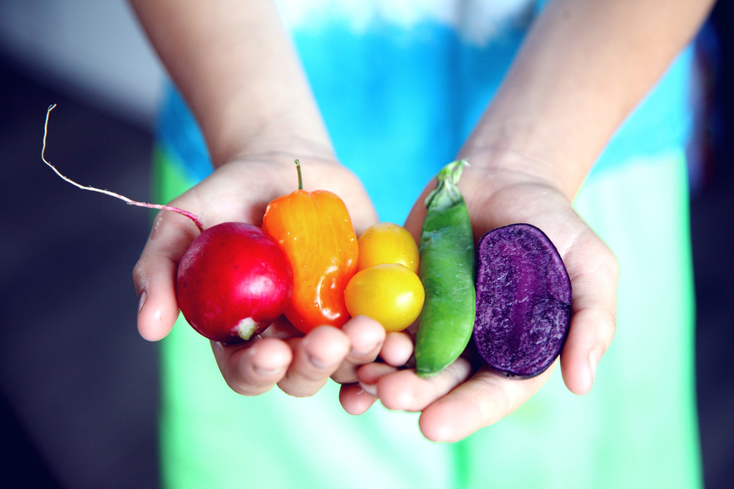 Lees meer over het artikel Boost je immuunsysteem: Kinderen & natuurvoeding (0-4 jaar)
