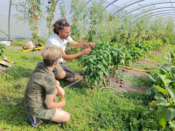 Lees meer over het artikel Informatieavond VegaBoerderij, met speciale bonus