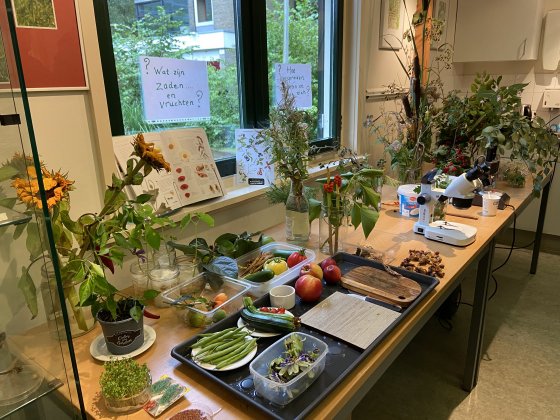 Lees meer over het artikel Natuur op het Heempad in de herfst
