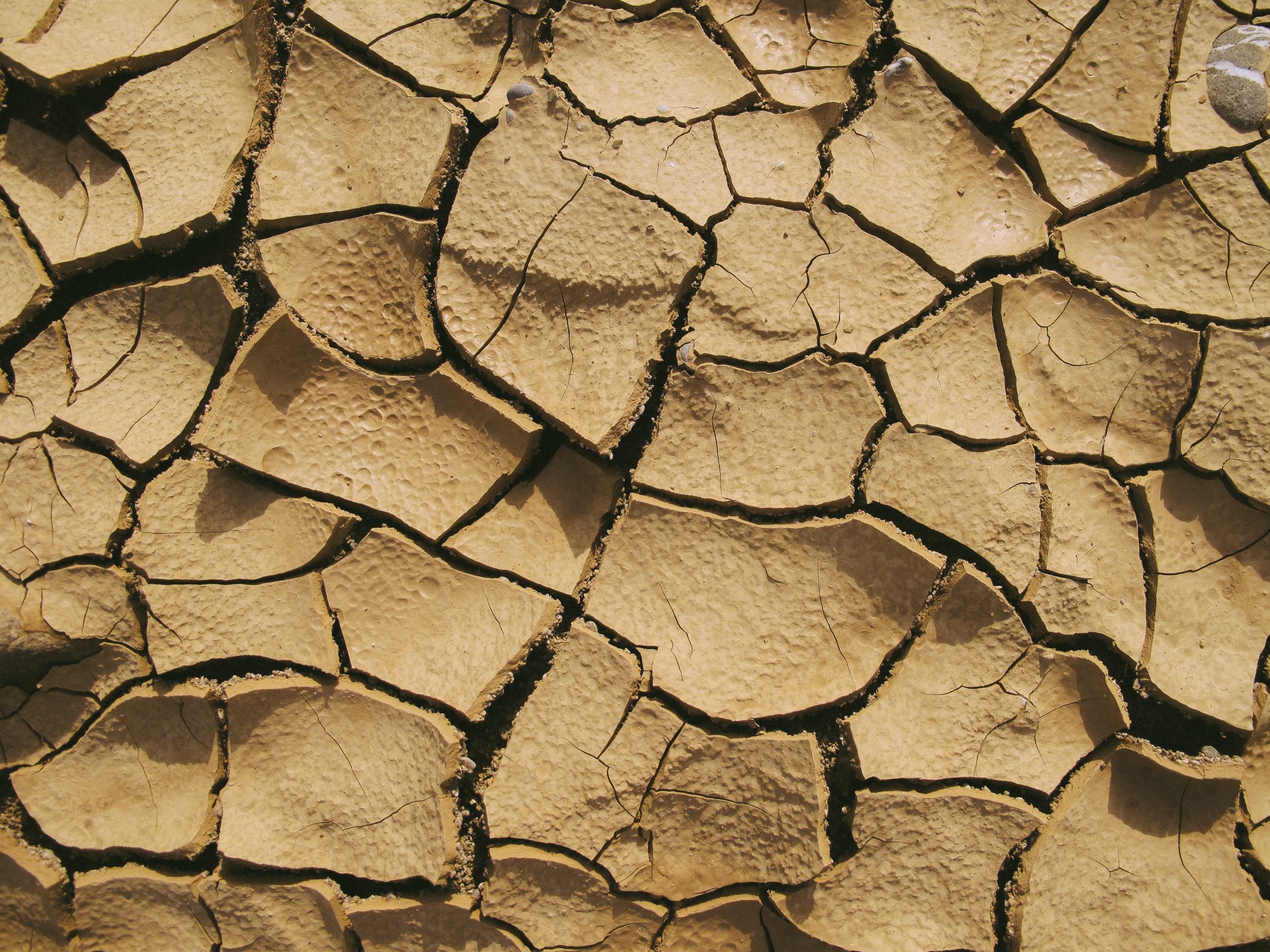 Lees meer over het artikel Geen landelijk water tekort meer in ons land