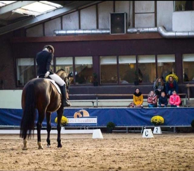 Lees meer over het artikel 25ste editie Indoor Bodegraven