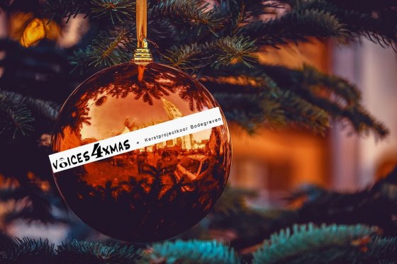 Lees meer over het artikel Voices4Xmas Kerstprojectkoor zoekt nog enkele leden