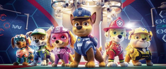 Lees meer over het artikel Paw Patrol in het Evertshuis