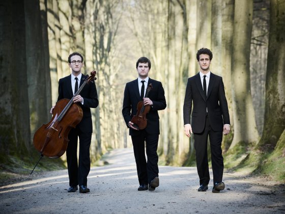 Lees meer over het artikel Nieuwjaarsconcert ReeuwijkKlassiek met een top trio