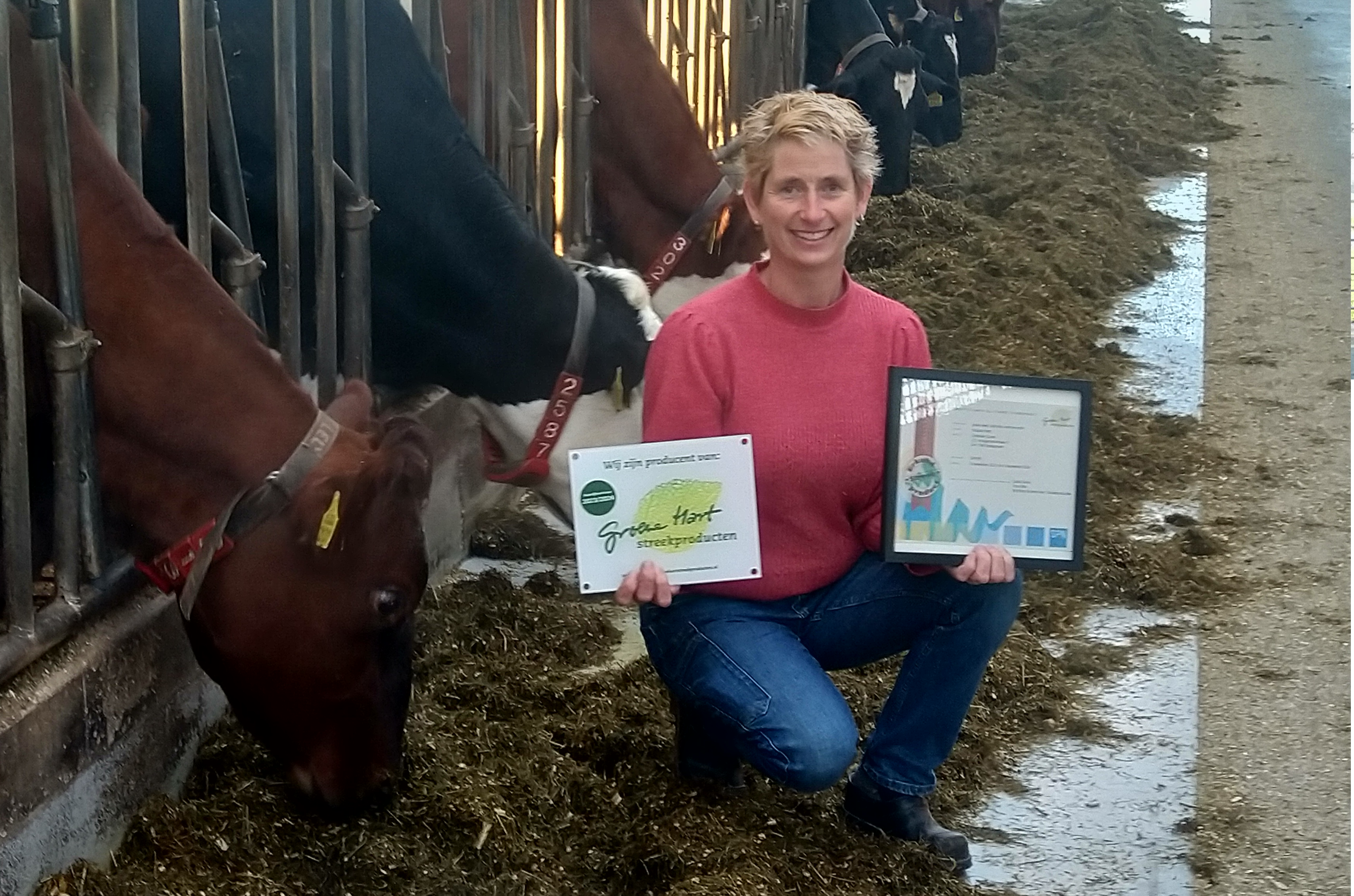 Lees meer over het artikel Oostdam Zuivel gecertificeerd als Groene Hart Streekproduct
