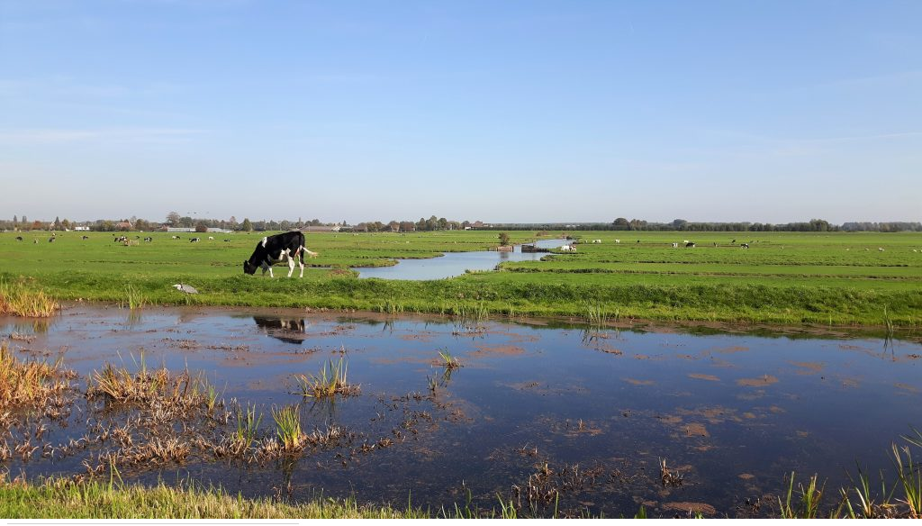 Lees meer over het artikel Red het Groene Hart van Zuid-Holland