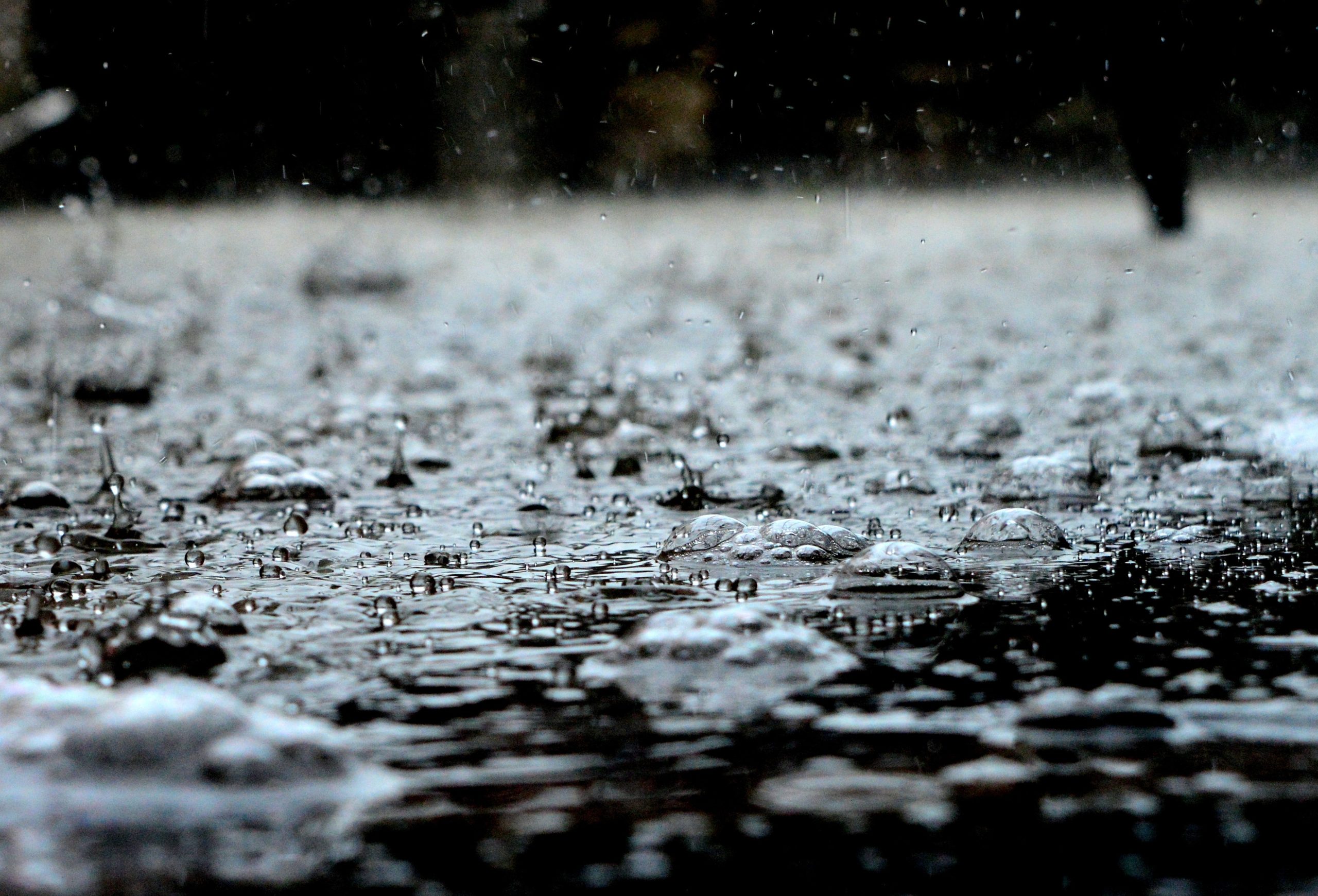 Lees meer over het artikel Start inspraak ontwerpplannen Waterberging en -doorvoer Willeskop