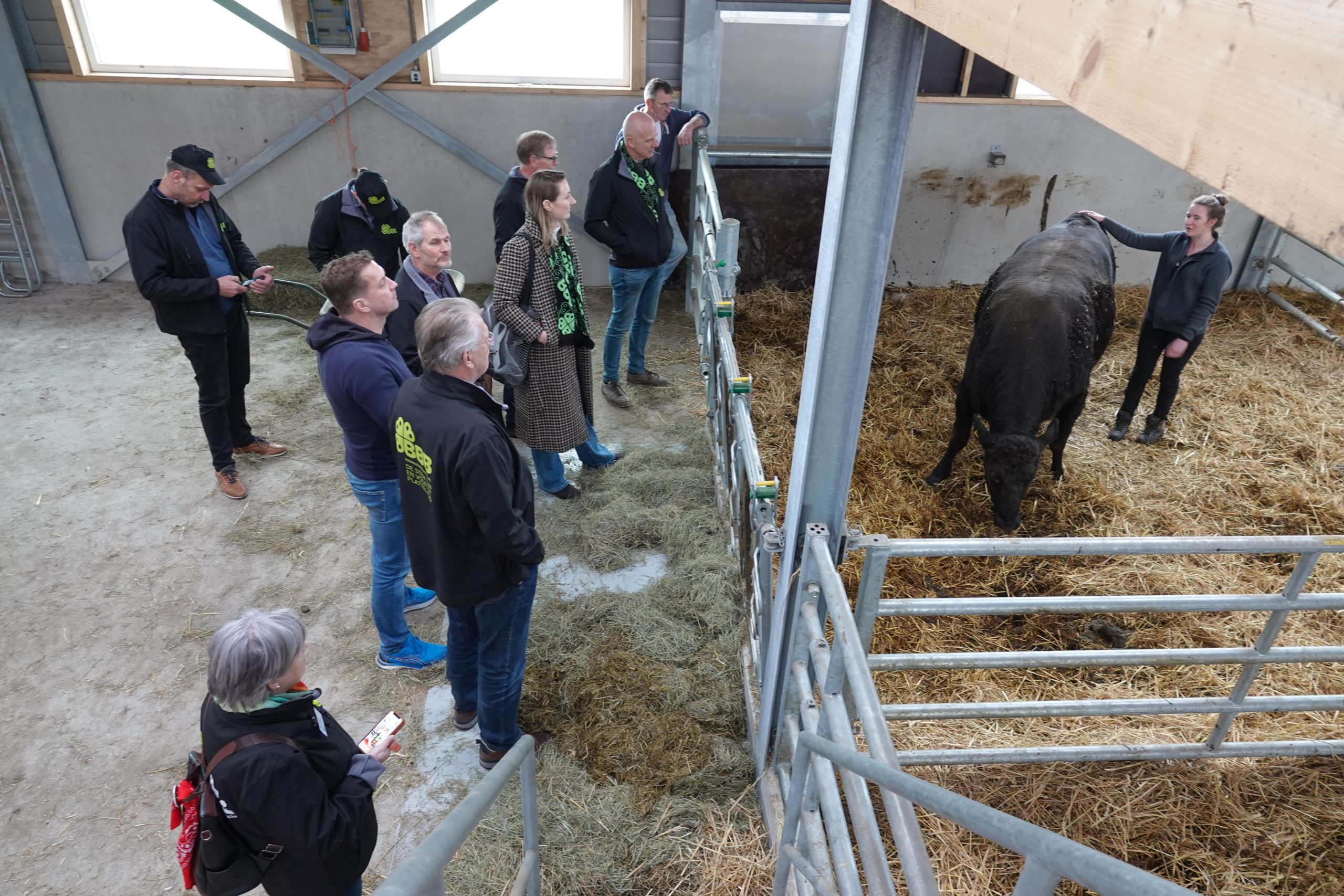 Lees meer over het artikel Boeren in Reeuwijk: “Waterpeil bepaalt onze toekomst”