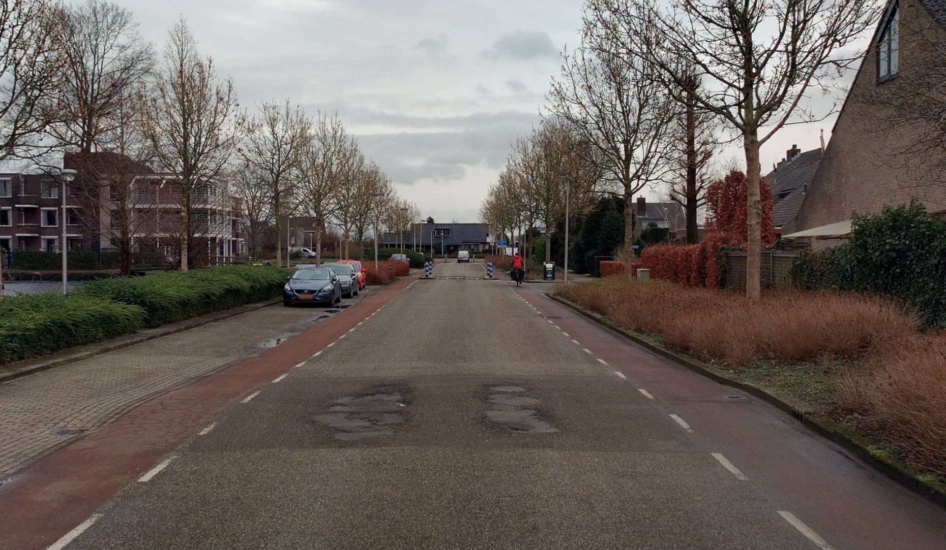 Lees meer over het artikel Nieuwe bomen Dunantlaan
