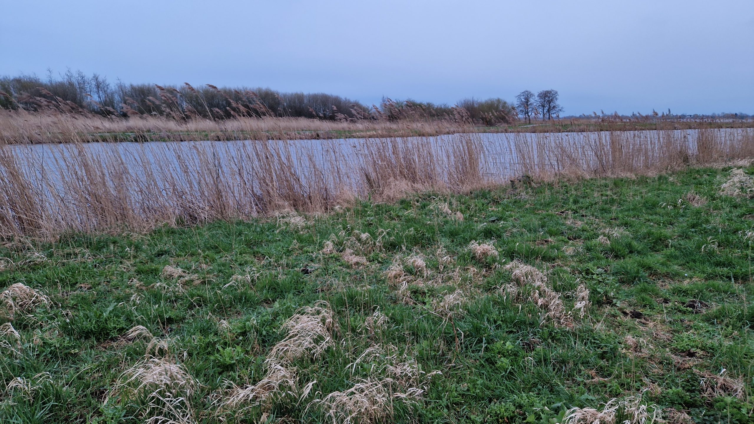Lees meer over het artikel Mooie gesprekken tijdens een heerlijke avondwandeling langs de Oude Rijn naar Zwammerdam