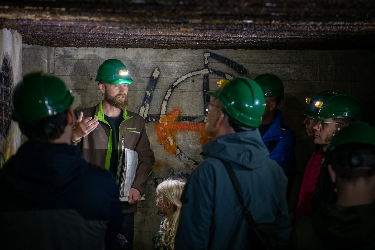Lees meer over het artikel Krijgsgeschiedenis Vinetaduin: natuurlijk bunkers