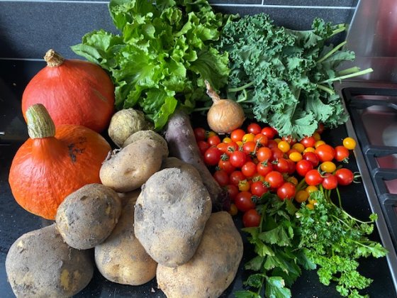 Lees meer over het artikel Vega(n) eten, de nieuwe klimaat meet-up