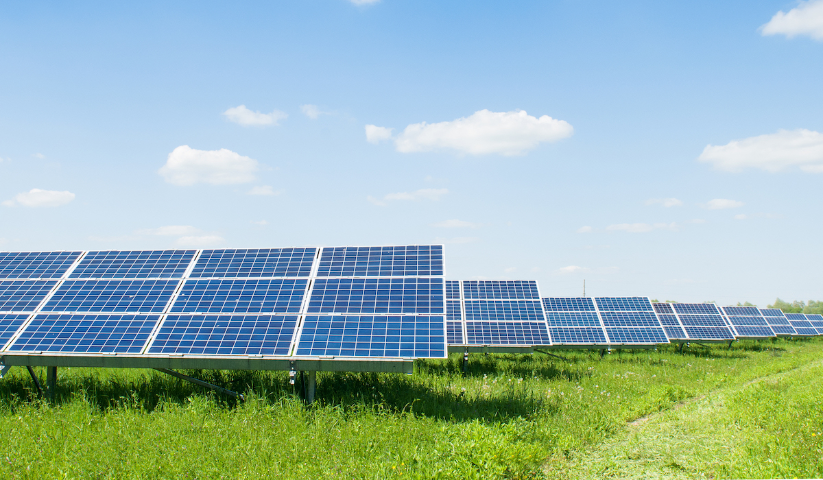 Lees meer over het artikel Gezocht: lokale expertise voor zonnevelden