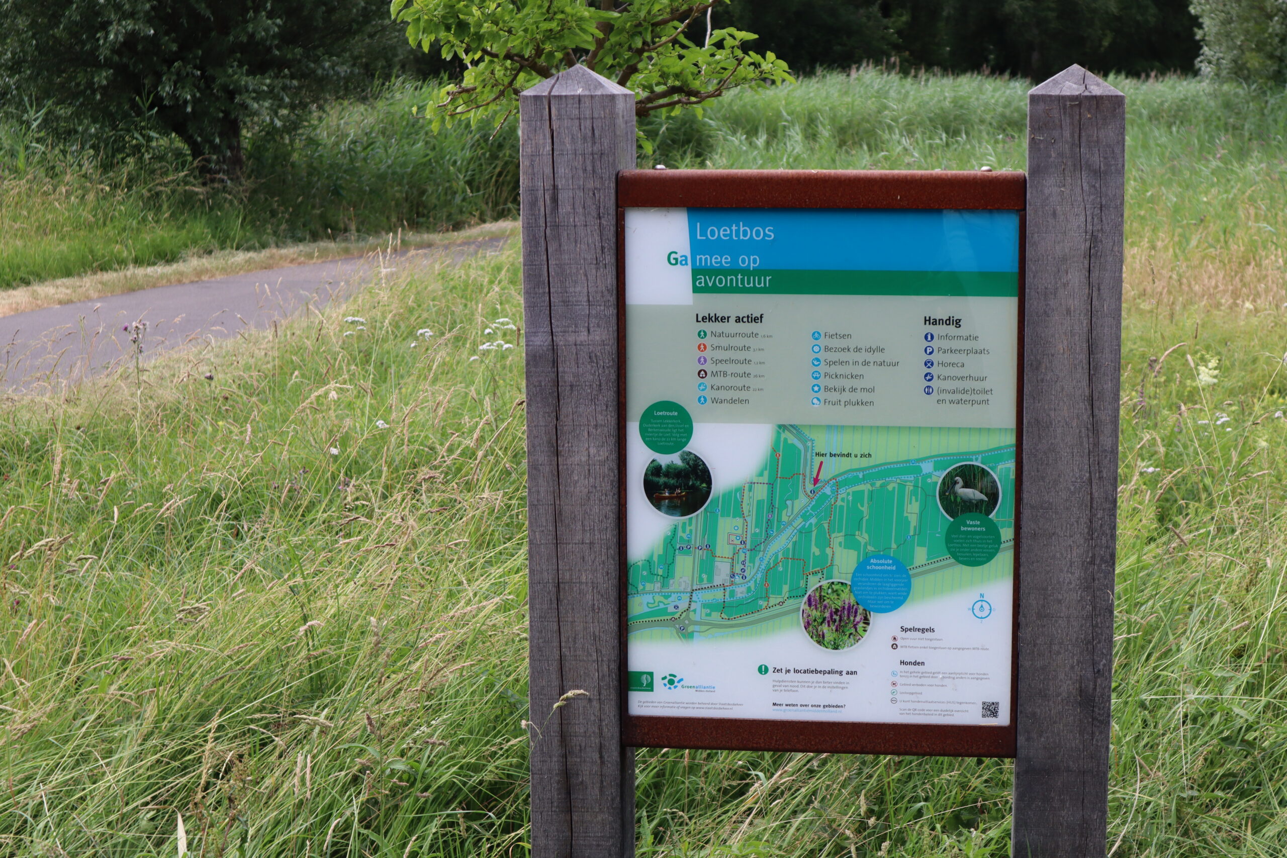 Lees meer over het artikel Het Loetbos, weer zo’n onontdekt pareltjes midden in het Groene Hart