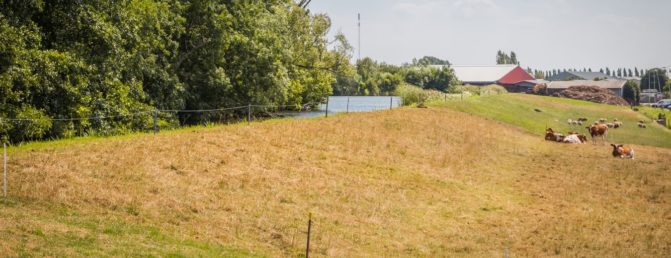 Lees meer over het artikel Extra maatregelen tegen droogte