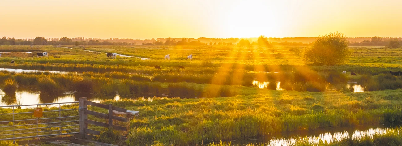 Lees meer over het artikel Unieke zomerkrant boordevol natuurinspiratie voor alle inwoners van Zuid-Holland