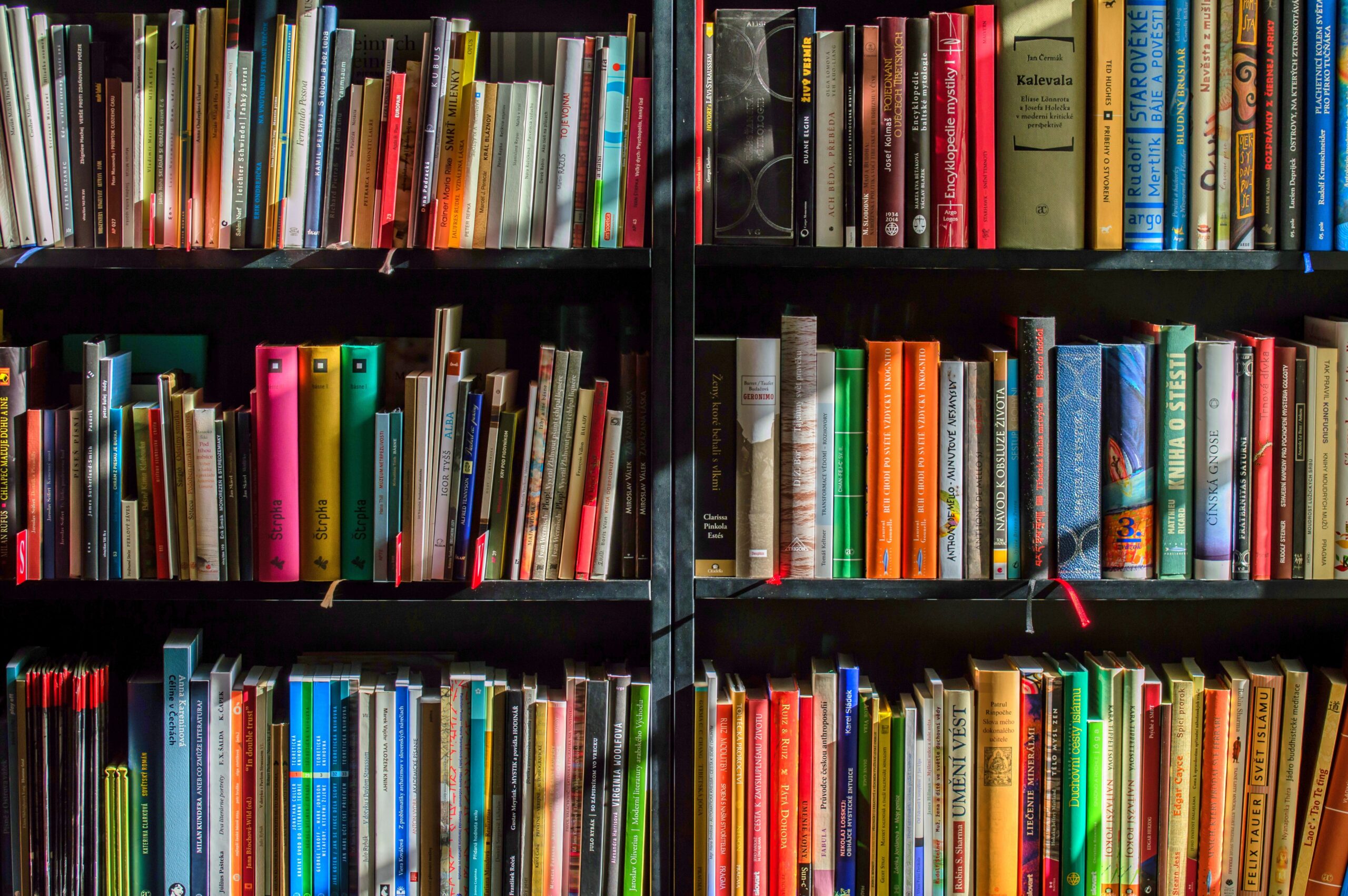 Lees meer over het artikel College slaat de knuppel in de kadernota flink mis