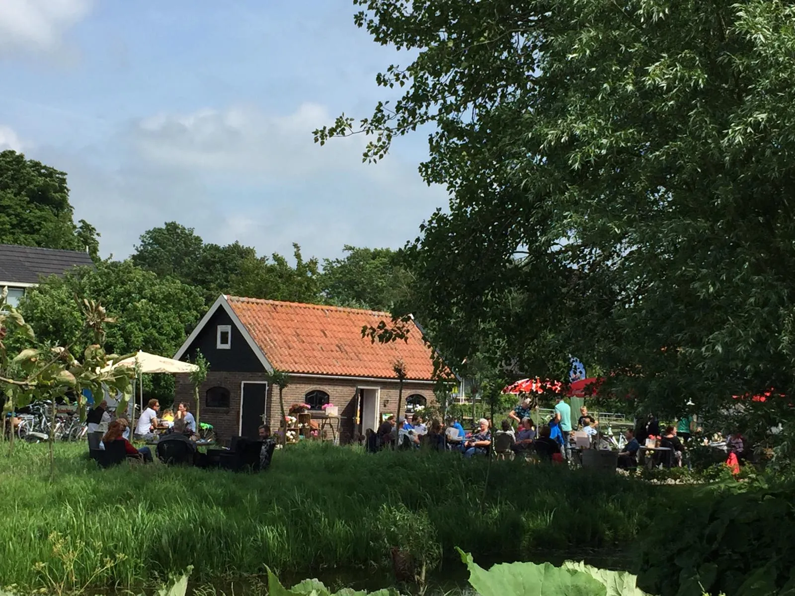 Lees meer over het artikel Van zelfgebakken taart tot suppen én vergeet de vlierbloesemlimonade niet! Het Schapenschuurtje in Berkenwoude