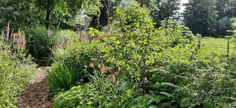 Lees meer over het artikel Inspiratie voor de (stads)tuin