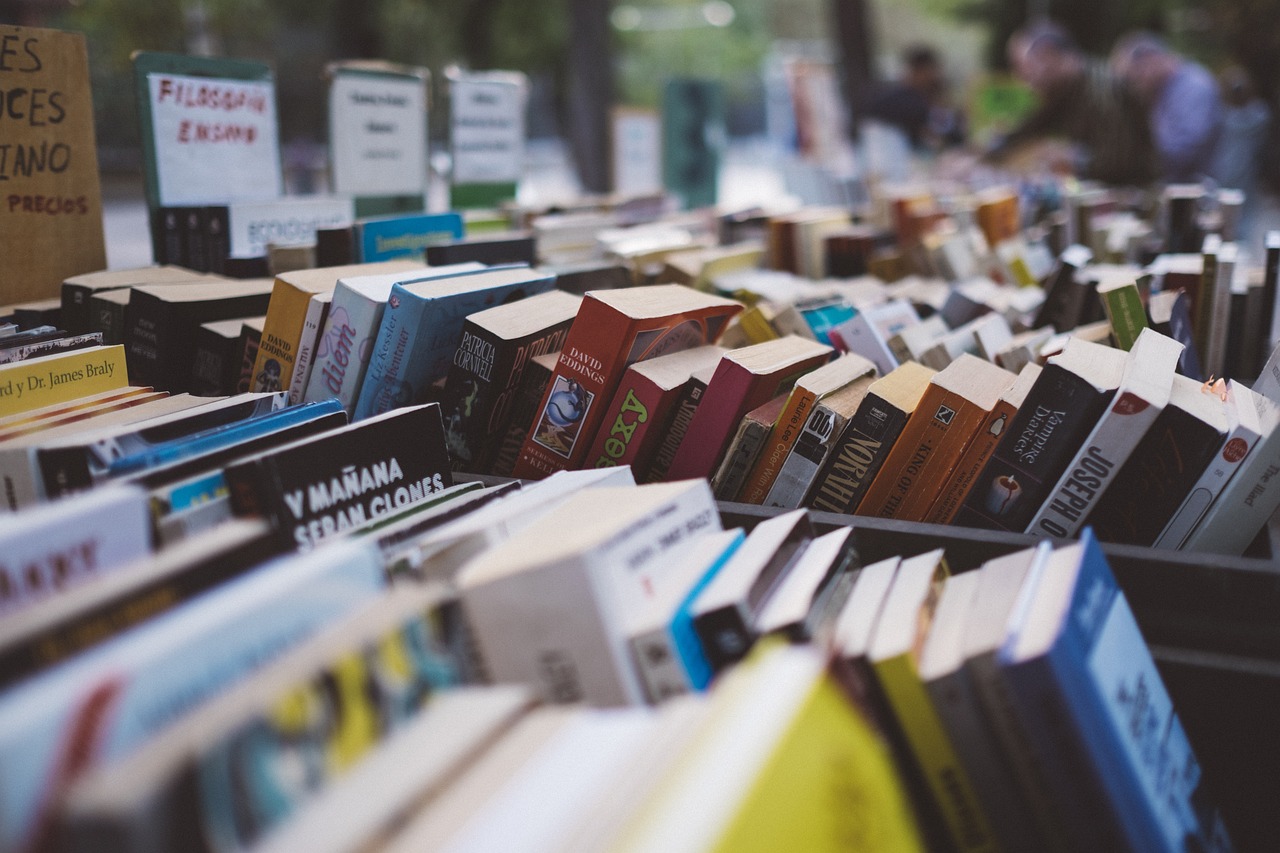 Lees meer over het artikel Eerste Boreftse boekenmarkt in het Evertshuis