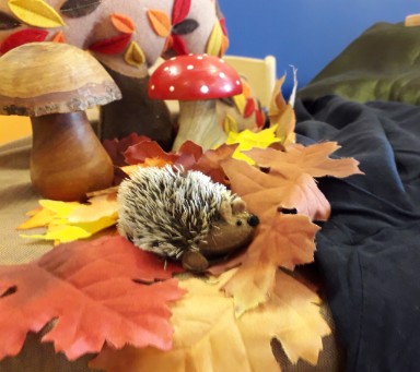 Lees meer over het artikel Voorstelling Egel zoekt Slaapplek voor de herfst in Huis van Alles Reeuwijk
