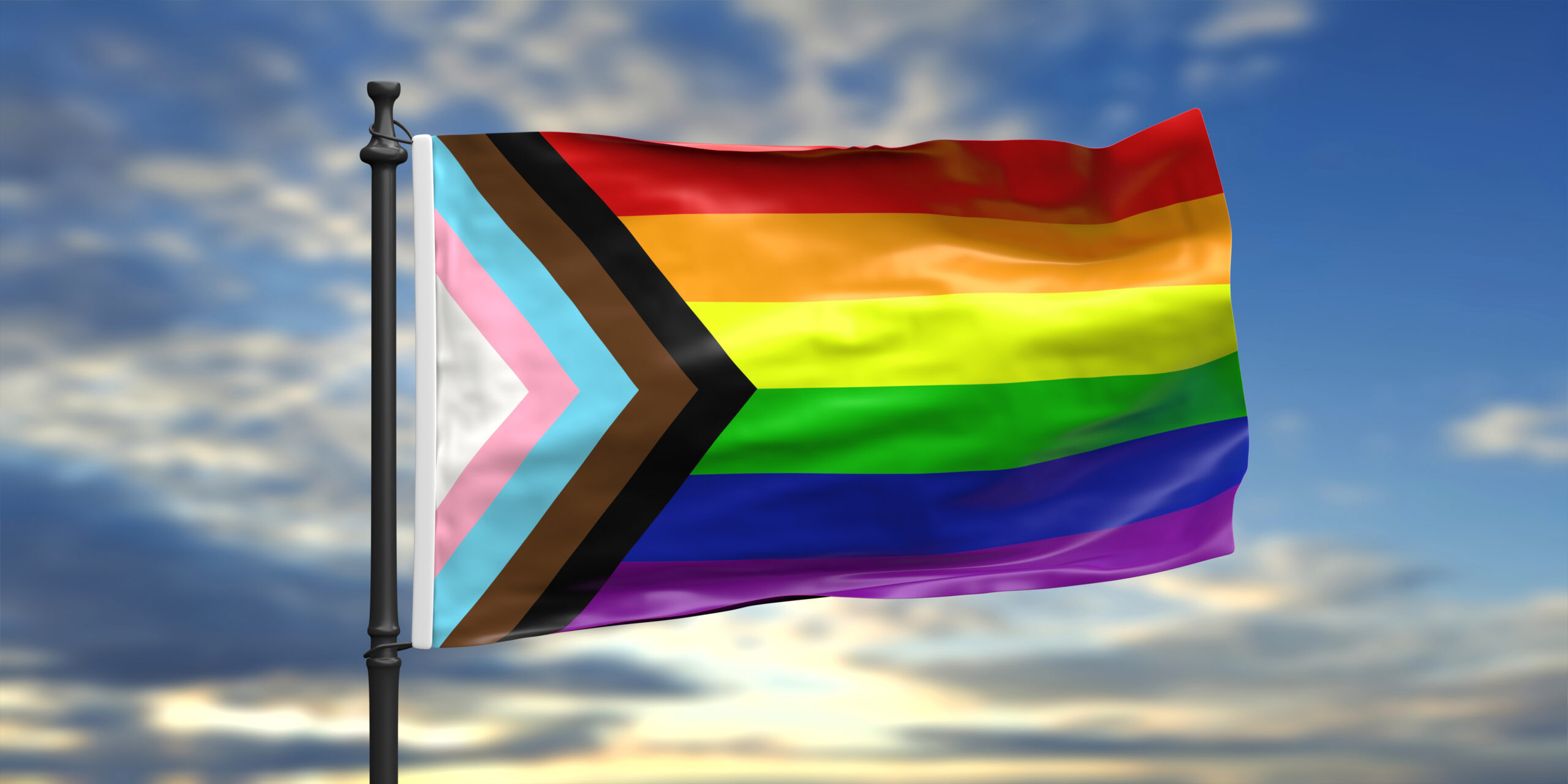 Lees meer over het artikel Coming Out Day: een nieuwe vlag!