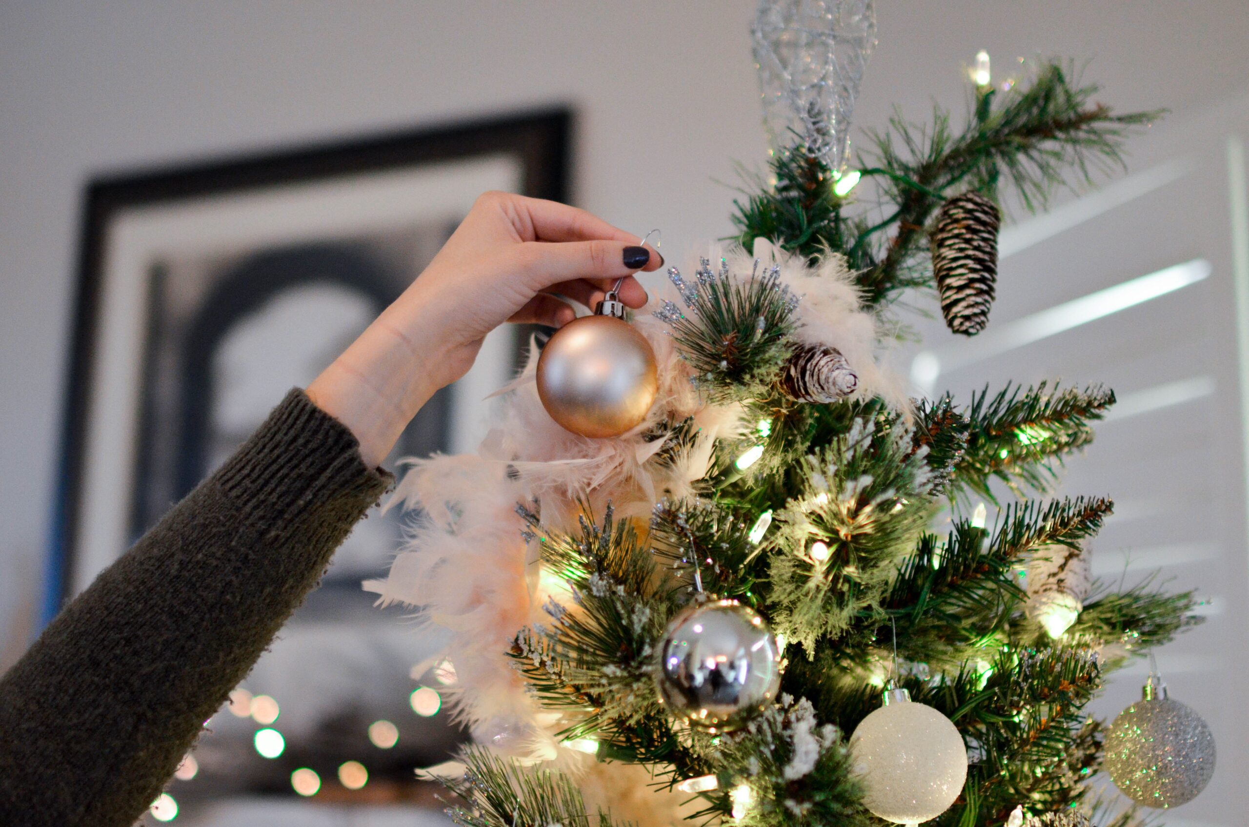Lees meer over het artikel Koop een Kerstboom en Steun de Zustertuin en Zwembad de Fuut