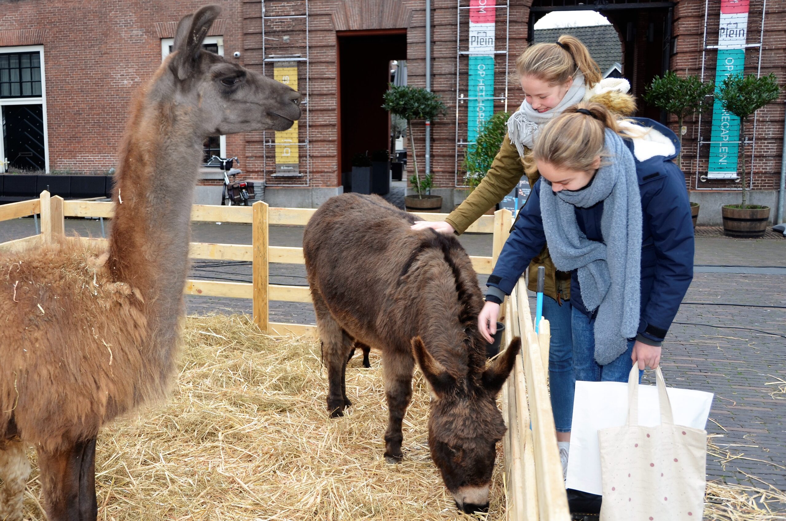 Lees meer over het artikel Streekmarkt Woerden in Kerstsfeer