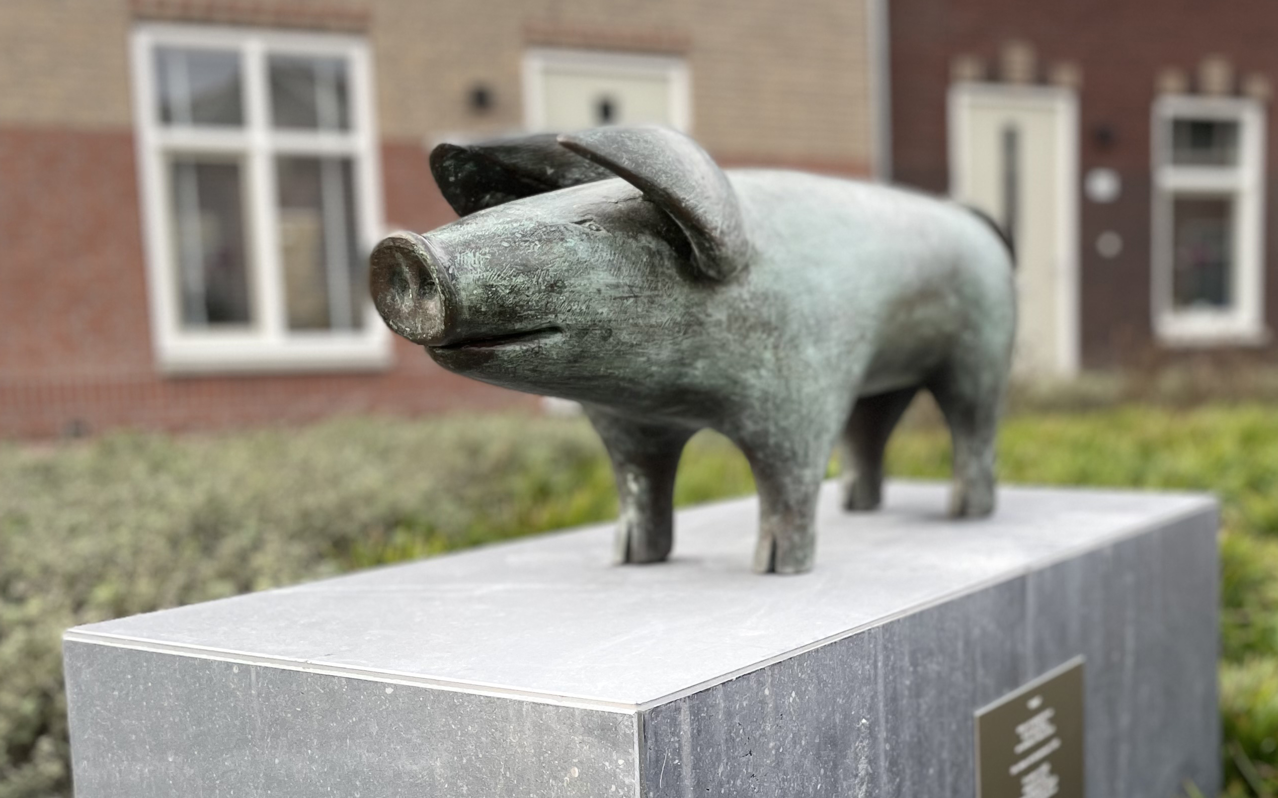Lees meer over het artikel Nalatenschap van Alphons van Leeuwen geëerd met boek en kunstroute in Bodegraven