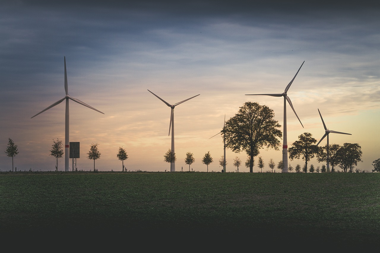 Lees meer over het artikel Natuur en Milieufederatie Zuid-Holland leidt mensen op tot burgerexperts in natuurinclusieve energietransitie  