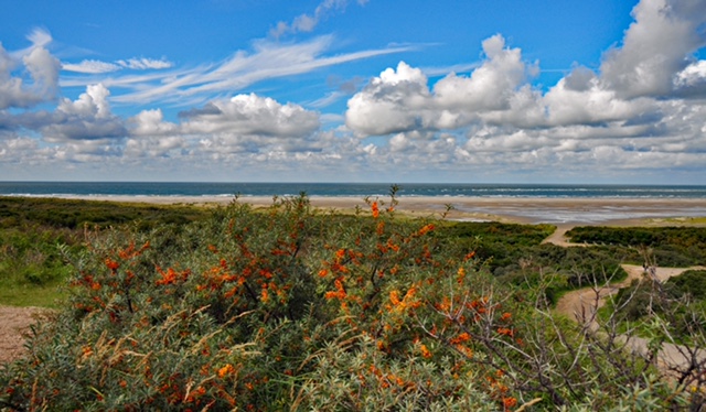 Lees meer over het artikel Nieuwe Expositie in het Groene HartHuys in Bodegraven