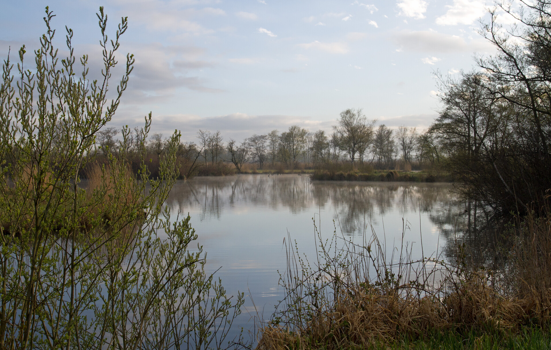 Lees meer over het artikel Natuurmonumenten zoekt vrijwilligers voor natuurbeheer in de Nieuwkoopse Plassen