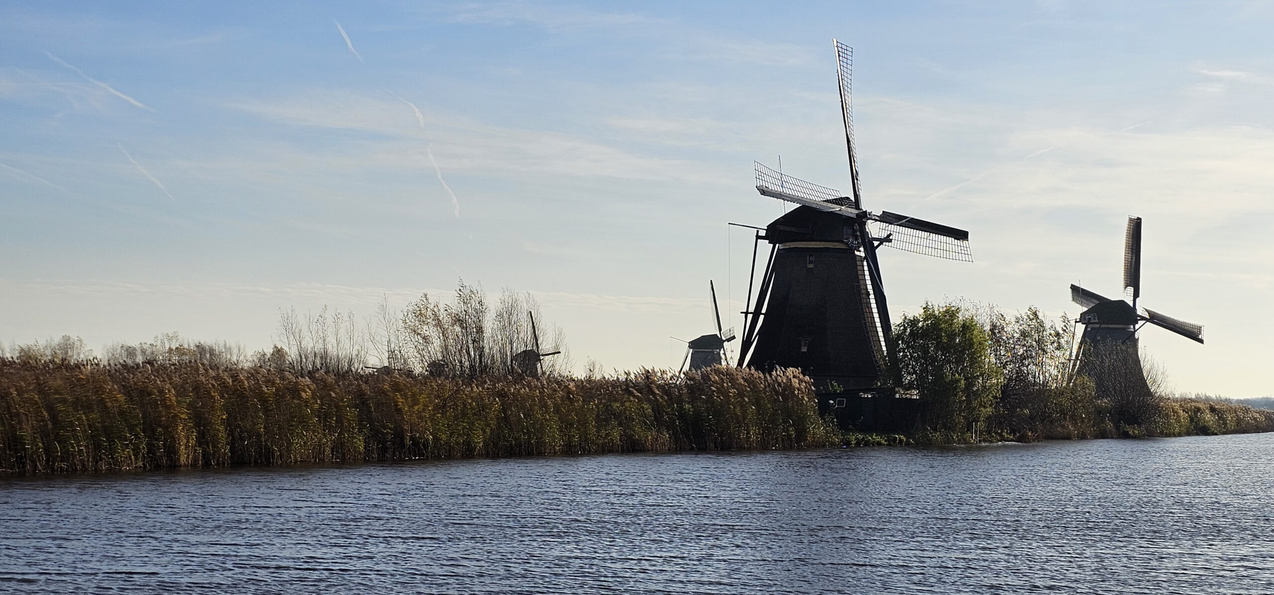Lees meer over het artikel EditieGroeneHart.nl komt met een frisse update