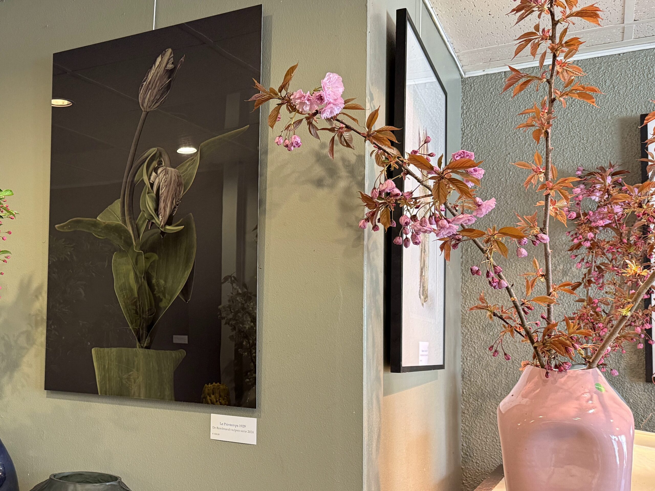 Lees meer over het artikel Een tulp met karakter, een atelier met een verhaal