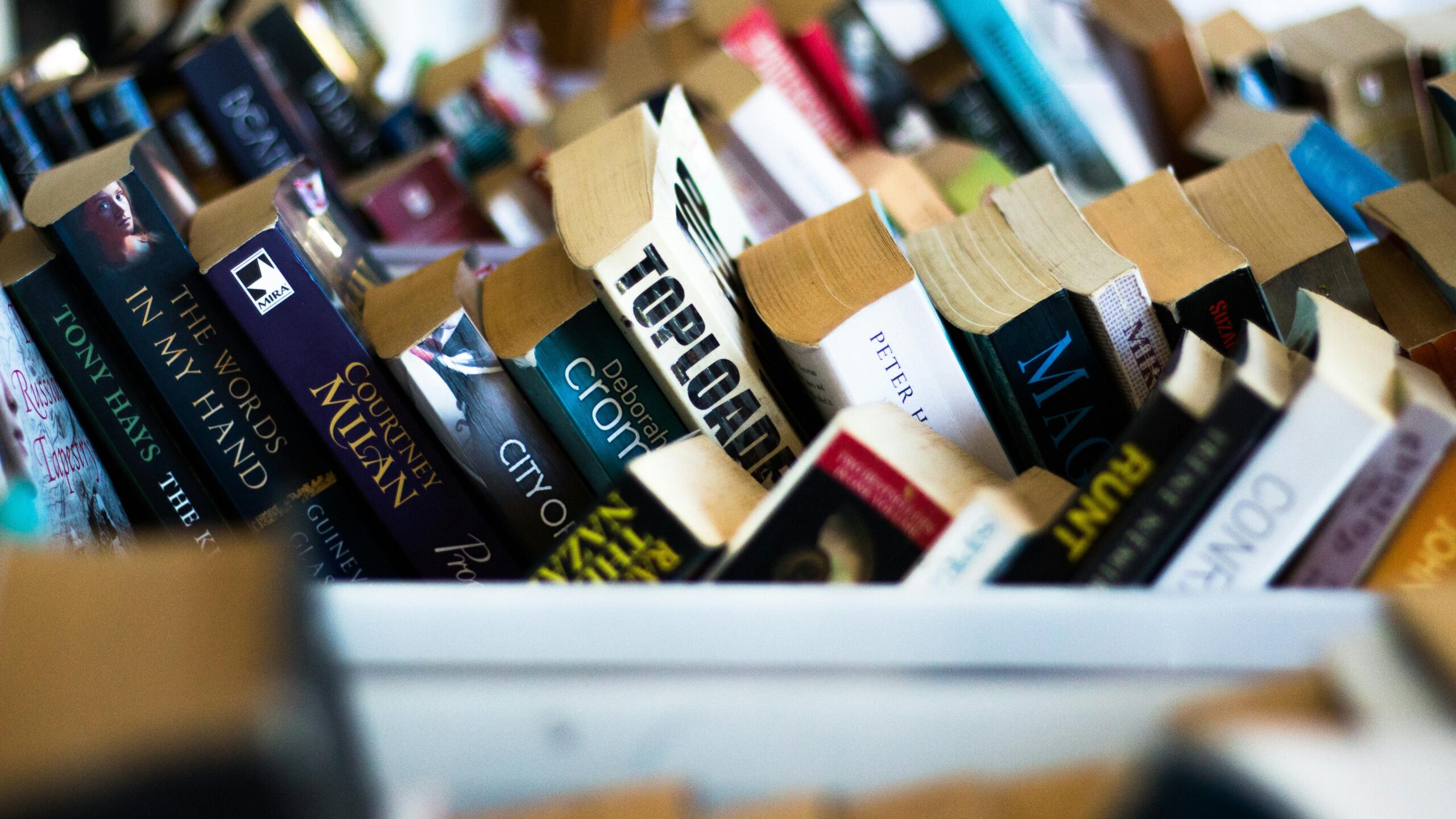 Lees meer over het artikel Boreftse Boekenmarkt in het Evertshuis